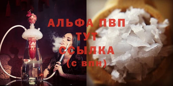 СК Алексин