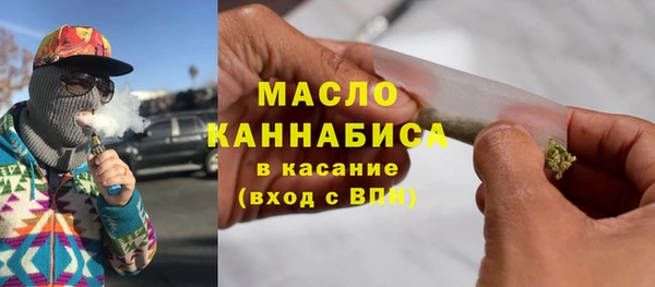 СК Алексин