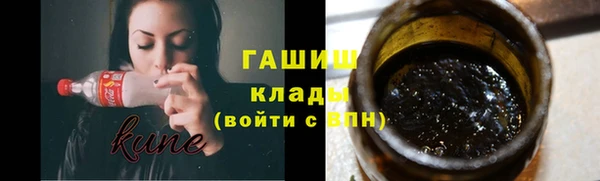 СК Алексин
