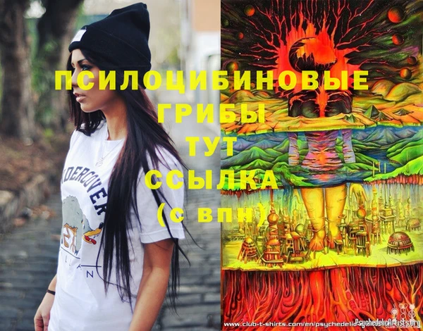 СК Алексин