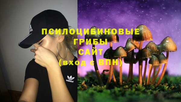 ALPHA PVP Алексеевка